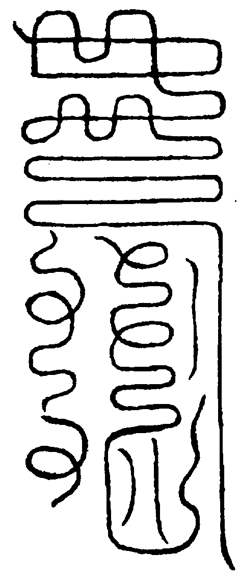 〔圖〕