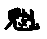 〔圖〕