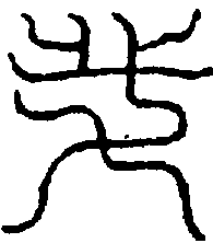 〔圖〕