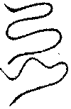 〔圖〕