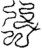 〔圖〕