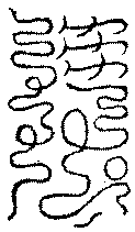 〔圖〕