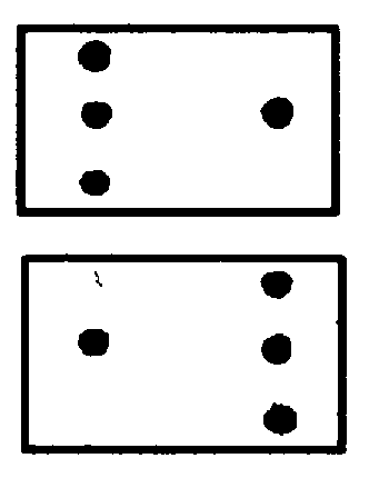 〔圖〕