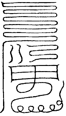 〔圖〕
