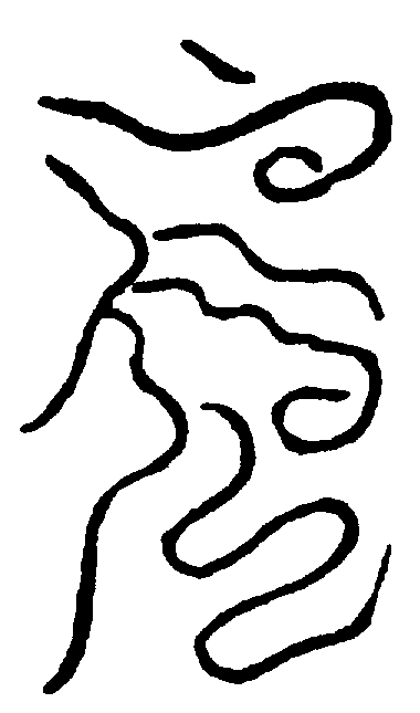 〔圖〕