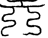 〔圖〕