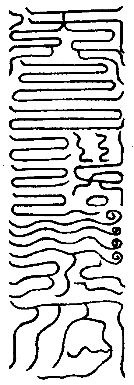 〔圖〕