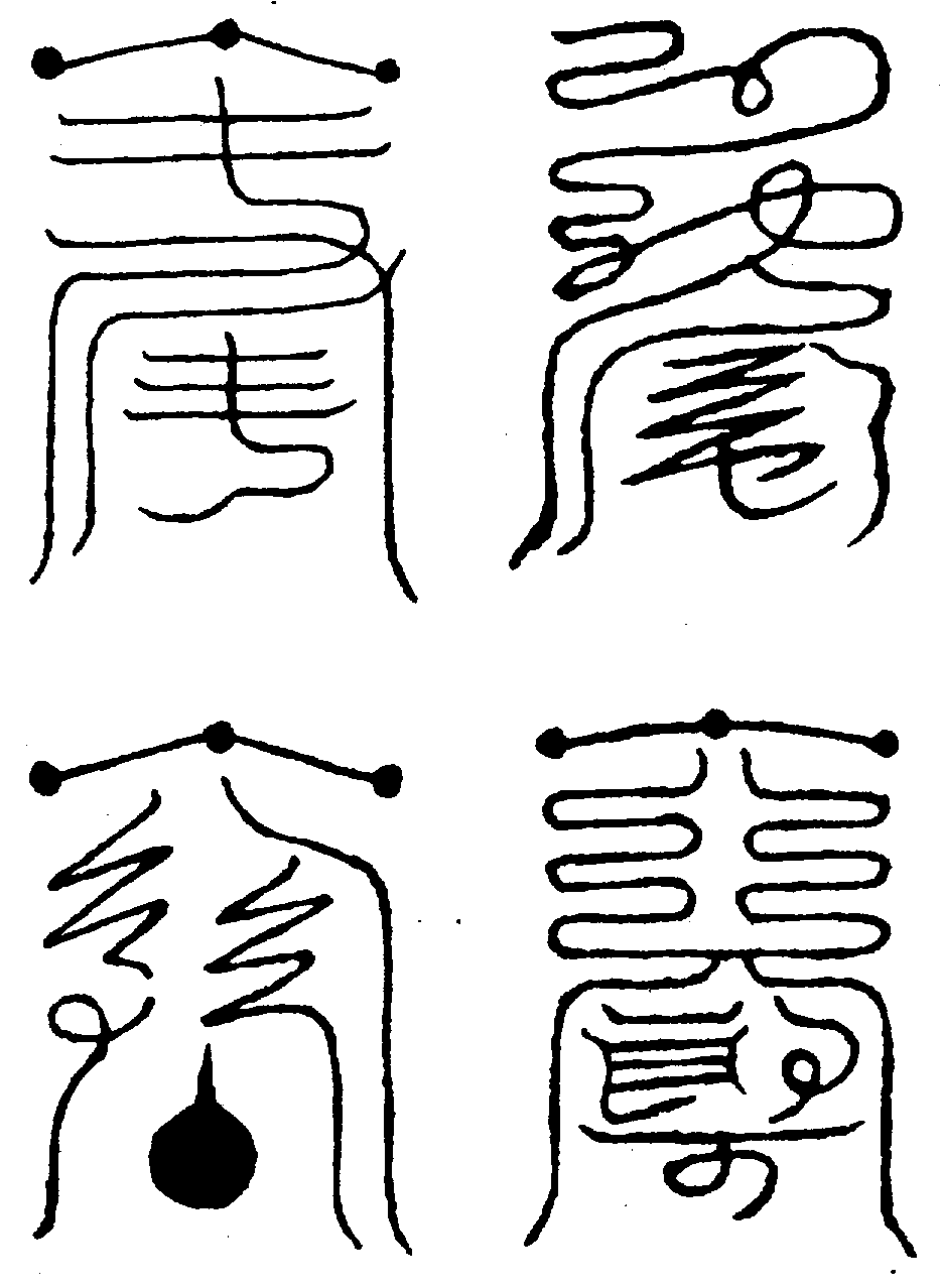 〔圖〕
