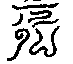 〔圖〕