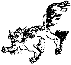 〔圖〕