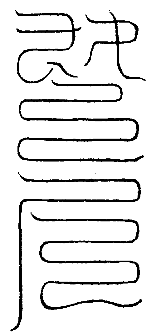 〔圖〕