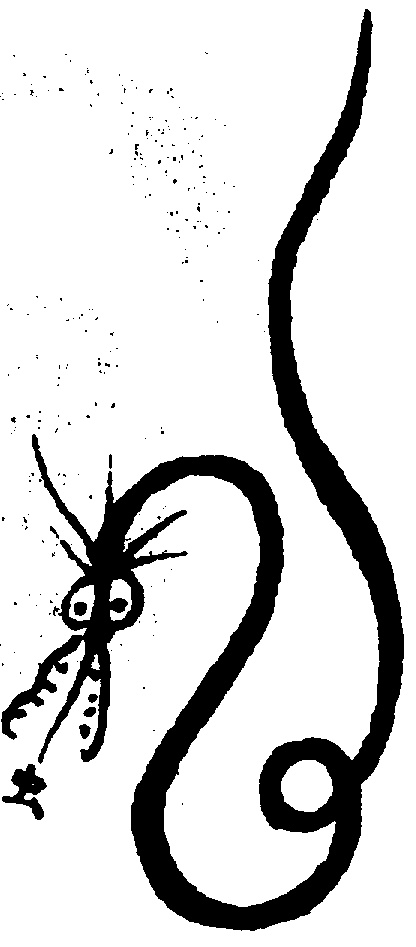 〔圖〕