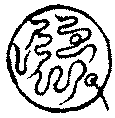 〔圖〕