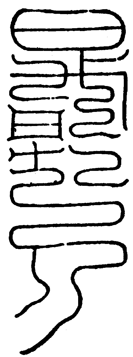 〔圖〕