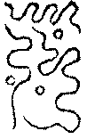 〔圖〕