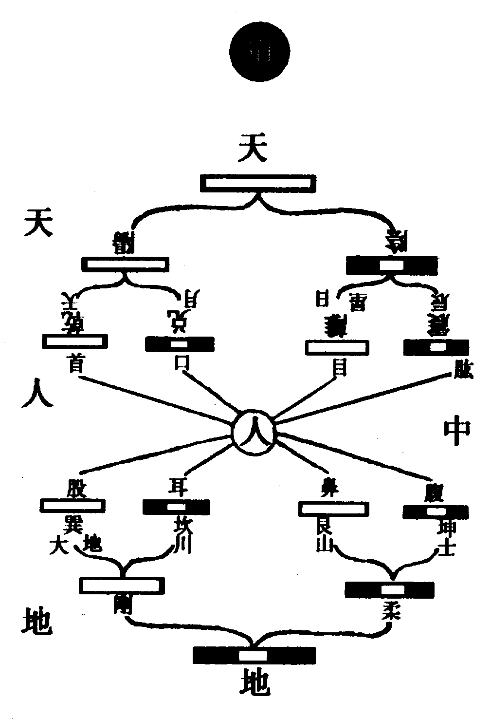 〔圖〕