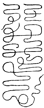〔圖〕
