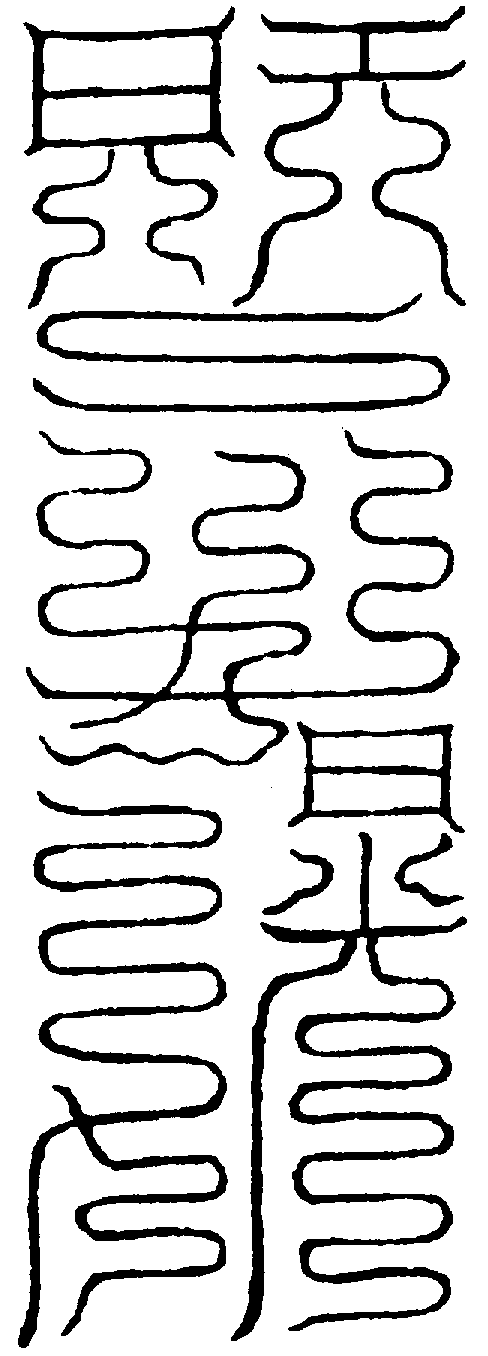 〔圖〕
