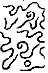 〔圖〕