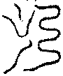 〔圖〕