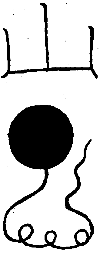 〔圖〕