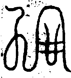 〔圖〕