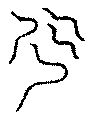 〔圖〕