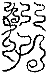 〔圖〕