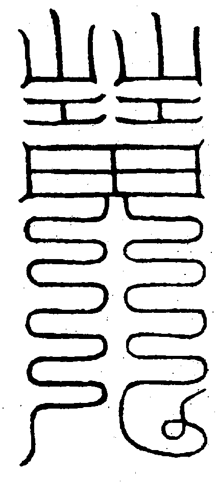 〔圖〕