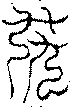 〔圖〕