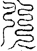 〔圖〕