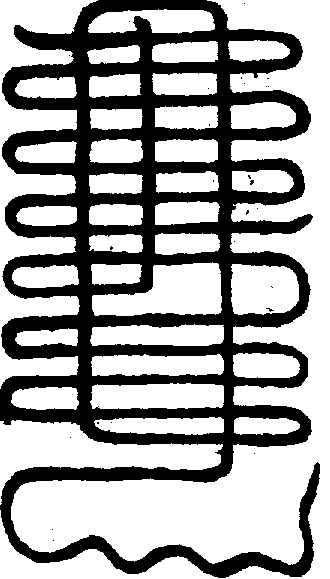 〔圖〕