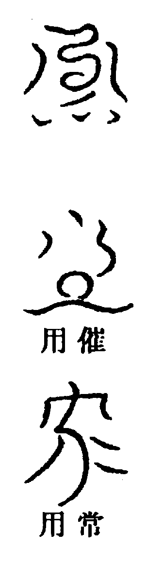 〔圖〕