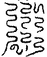 〔圖〕