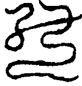 〔圖〕