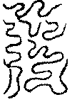 〔圖〕