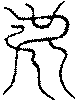 〔圖〕