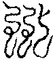 〔圖〕