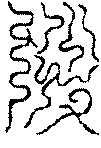 〔圖〕