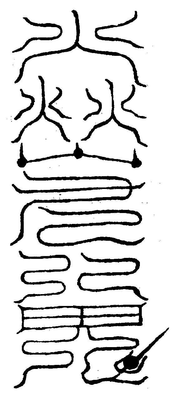 〔圖〕